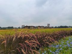 -中国天府农业博览园