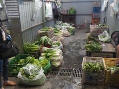 -岳各庄批发市场(西四环中路店)