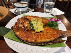 -紫滇源云南生态菜(丹凤街店)