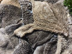 -谭鸭血老火锅(漳州路店)