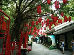 -深圳东部华侨城茵特拉根酒店