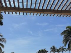 -亚龙湾希尔顿自助餐厅·海鲜·烧烤·沙滩BBQ·现场乐队