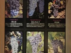 -葡萄集|滋味新疆菜·精酿酒馆(瑞豪酒店)