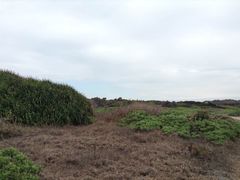 -龙坑生态保护区