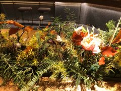 -Bco豆库(星耀天地店)