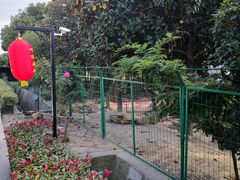 -呼吸森林·生态农庄农家乐私房菜