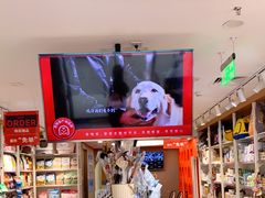 -宠物家(双井店)
