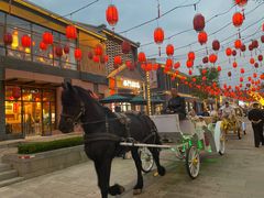 -鼎盛王朝康熙大典实景演出