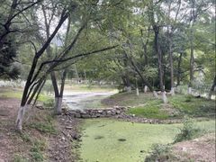 -长白岛森林公园