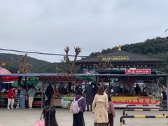 -打洛口岸
