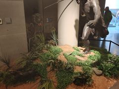 -北京周口店北京人遗址博物馆