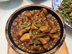 -芙蓉凰花园酒楼