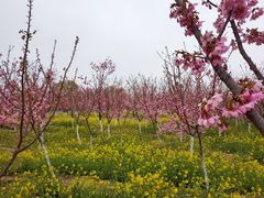 -古柏渡飞黄旅游区