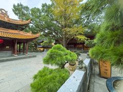 -普陀山风景名胜区-法雨禅寺