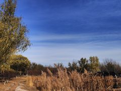 -永定河休闲森林公园