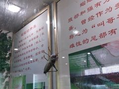 -上海昆虫博物馆