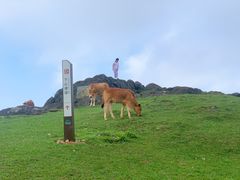 -大姆山草场