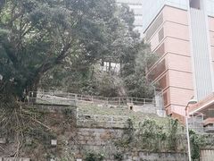 -香港大学