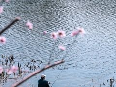 -桃花堤公园