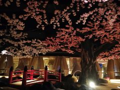 -蓝鲸湾汤泉(包河店)