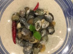 腌黄泥螺-渔娘渔家丹东海鲜(东直门店)