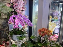 -豆豆花艺(新光天地店)
