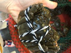 -青石桥市场北1-27号