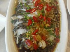 -鑫皇朝酒店(建设一路店)