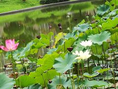 -木塔寺遗址生态公园