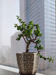 -MASTER 男士发型设计