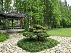 -江心屿景区