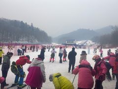 -亚布力新体委滑雪场
