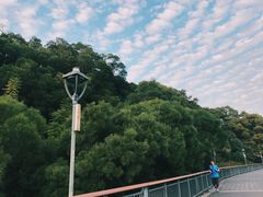 -金鸡山公园