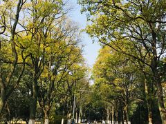 -安徽大学(龙河校区)