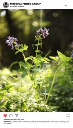 -Mregina 美人纪摄影(样片研发中心)