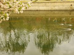 -海棠花溪(元大都城垣遗址公园)