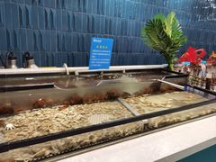 -伍棵煋炭烤自助料理·烤鳗鱼(浦东食品城店)