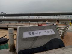 -演武大桥观景平台