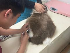 -宠颐生中康贝怡动物医院