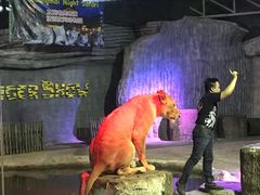-清迈夜间动物园