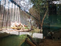 -昆明动物园