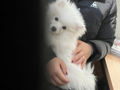 -美联众合动物医院·24h京西诊疗中心