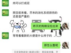 -艾吉宠物医院·疑难杂症转诊中心·猫友好(碧江路院)