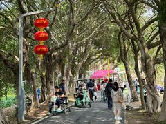 -光明小镇欢乐田园