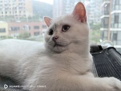 -邢大夫动物医院