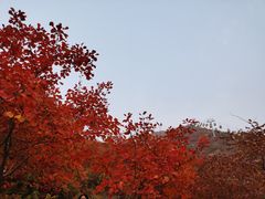 -周口店坡峰岭风景区