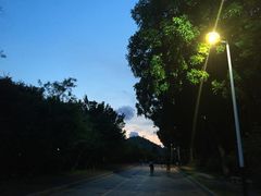 -东莞植物园
