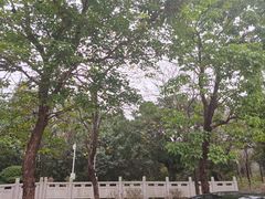 -大亚湾红树林城市湿地公园