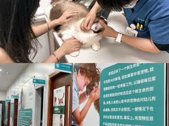 -瑞派中心宠物医院·CT·核磁·神经专科