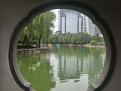 -团结湖公园